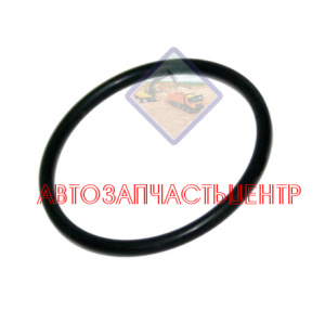 Уплотнительное кольцо насоса ТННД 320/07051, 320/A7112 N